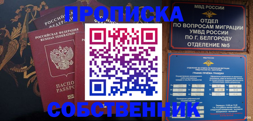 прописка законно в Чите